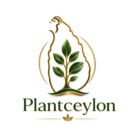 Plantceylon